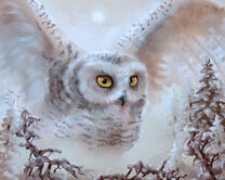 Без бренда «2KMB-3848» в Улан-Удэ