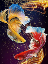 Без бренда «Желтая и красная рыбки» в Улан-Удэ