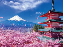 Без бренда «2KSB-7277» в Улан-Удэ