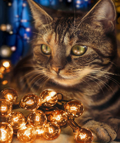 Без бренда «2KXSB-0678» в Улан-Удэ