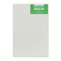 Без бренда «Коробка 80 шт.: Холст Две картинки на подрамнике 20X30» в Улан-Удэ