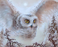 Без бренда «Полярная сова над лесом (20шт)» в Улан-Удэ