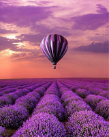 Без бренда «Фиолетовый воздушный шар над фиолетовым лавандовым полем (20шт)» в Улан-Удэ