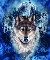 Без бренда «BOX40-2KXSB-0687» в Улан-Удэ