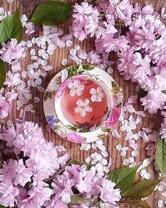 Чашечка чаю и цветение черешни