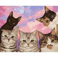 Без бренда «Такие разные котики» в Улан-Удэ