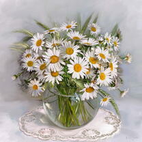 Без бренда «Букет свежих ромашек» в Улан-Удэ