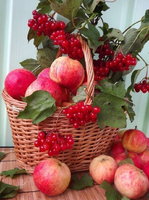 Без бренда «Коробка 25 шт. картин по номерам BOX25-GX5174» в Улан-Удэ