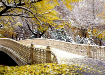 Снег в осеннем парке