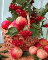 Без бренда «Плетёная корзина с калиной и яблоками» в Улан-Удэ