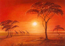 Жирафы под ярким солнцем Африки