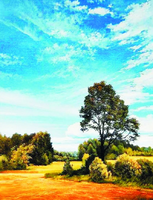 Без бренда «Осенний пейзаж с голубым небом» в Улан-Удэ в интернет-магазине  Без бренда «Осенний пейзаж с голубым небом» в Улан-Удэ