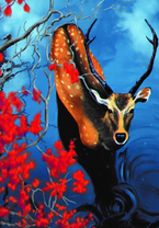 Молодой олень на водопое