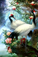 Без бренда «Коробка 25 шт. картин по номерам BOX25-GX29399» в Улан-Удэ