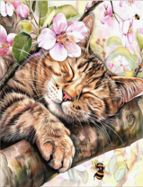 Без бренда «Волосатый котик спит на ветви яблони» в Улан-Удэ в интернет-магазине  Без бренда «Волосатый котик спит на ветви яблони» в Улан-Удэ