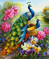 Павлины в цветущем весеннем саду